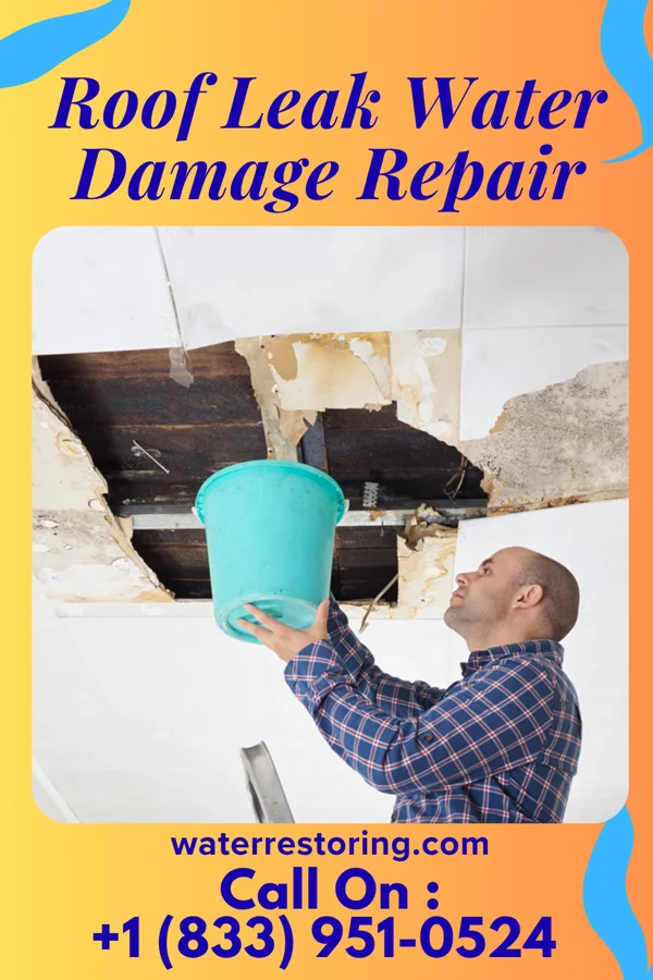 Roof Leak Water Damage Repair in Cogdell, GA